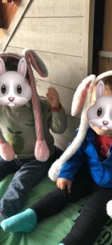 des lapins !