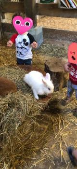visite à la ferme pédagogique 