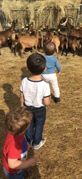 Visite à la ferme 