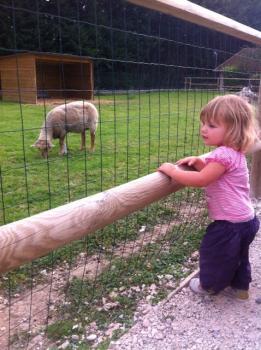 Promenade à la ferme pédagogique !