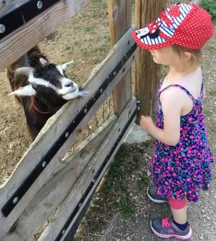 Visite à la ferme