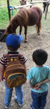 Promenade à la ferme