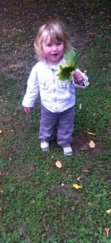 Promenade, ramassage feuilles 