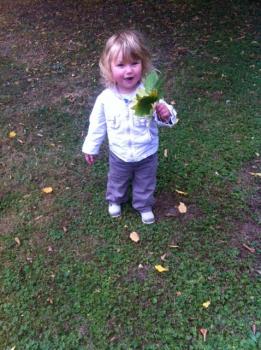 Promenade, ramassage feuilles 