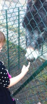 Seconde visite à la ferme pédagogique 