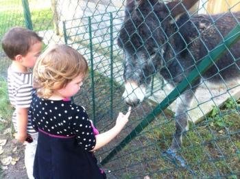 Seconde visite à la ferme pédagogique 